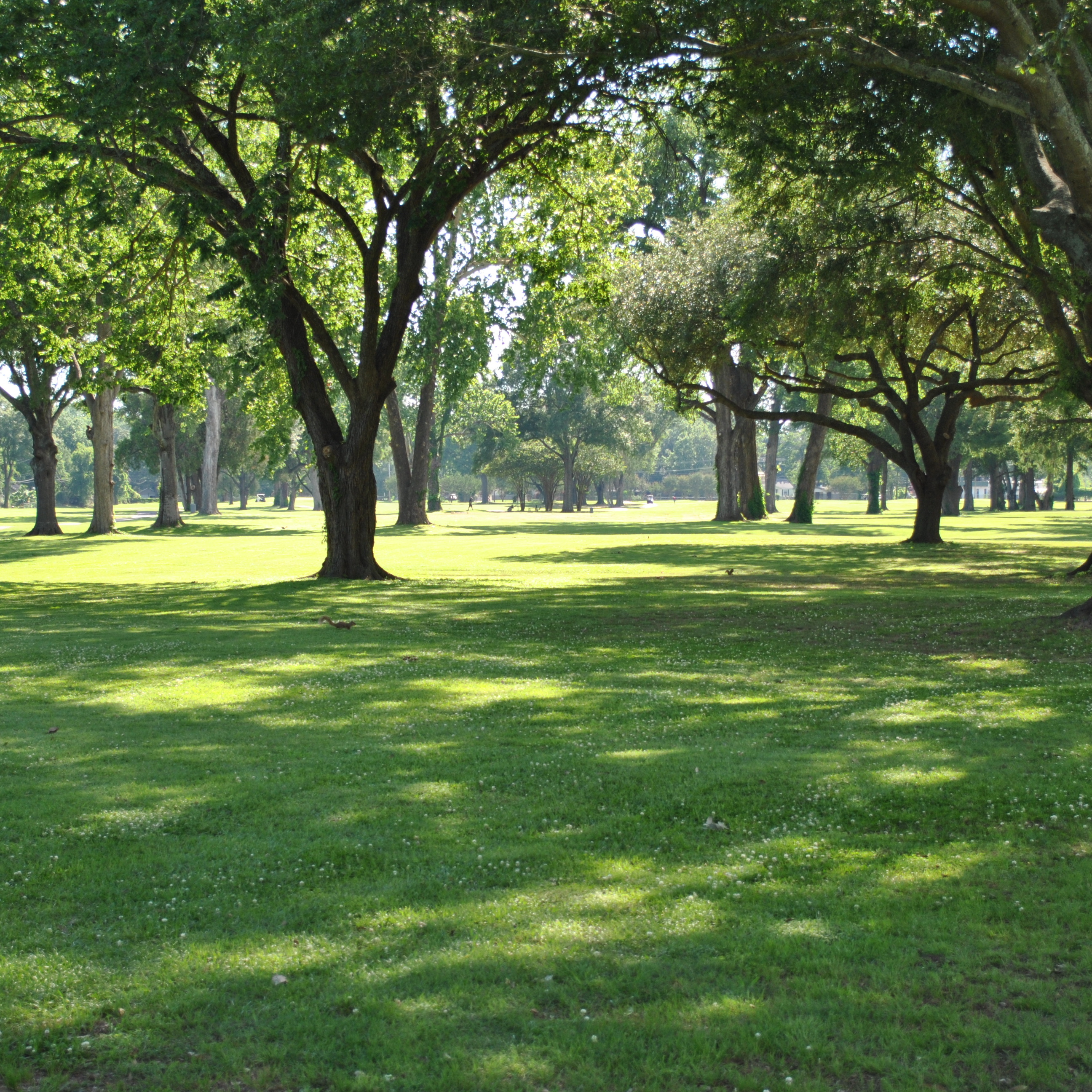 Letterman's Association 2026 Golf Tournament - logo